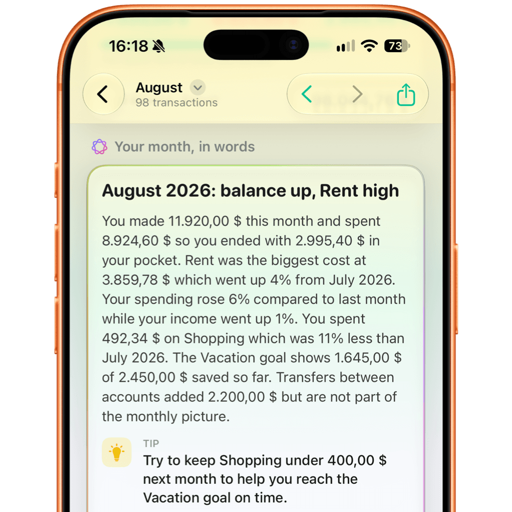 The FlowBudget monthly analysis, exported as an A4 PDF